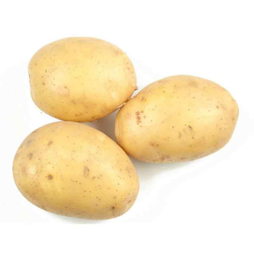 Лучшие сорта картофеля для Беларуси: Максимум